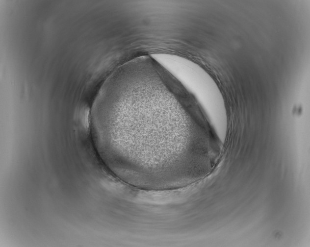 X0000090780041200708101843