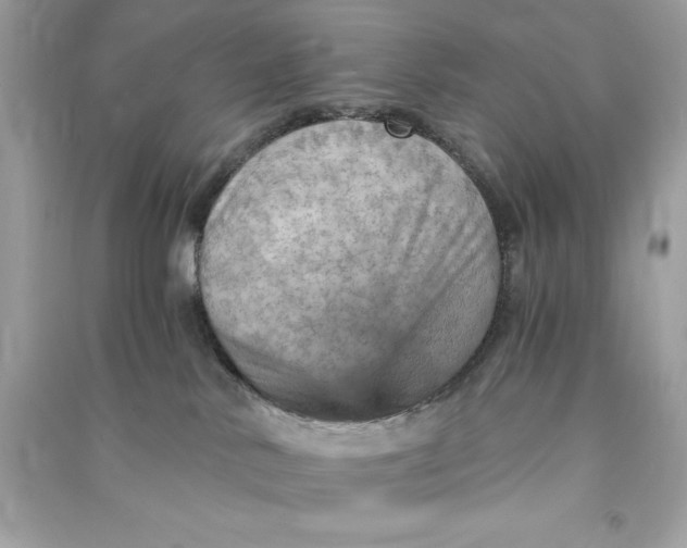 X0000090780042200708101843