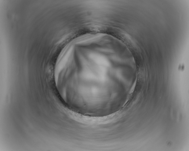 X0000090780043200708101843