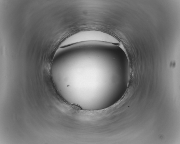X0000090780045200708101843