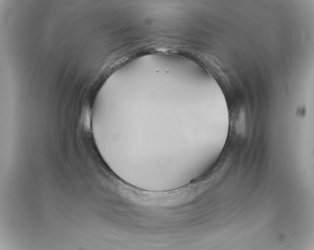 X0000090780046200708101843