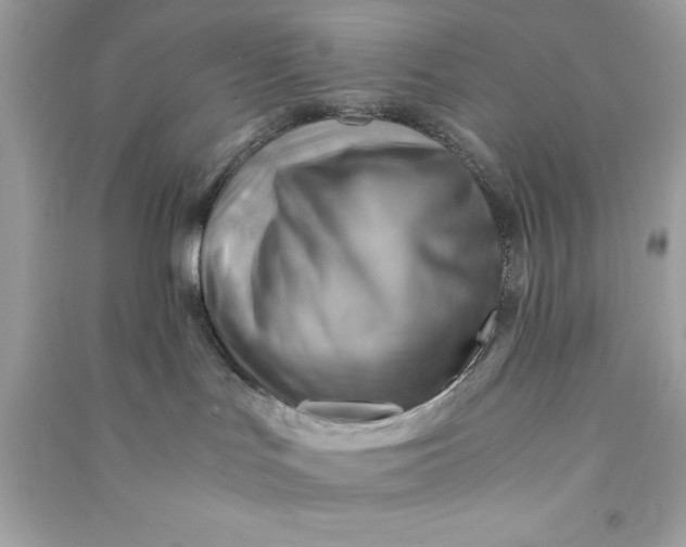 X0000090780047200708101843