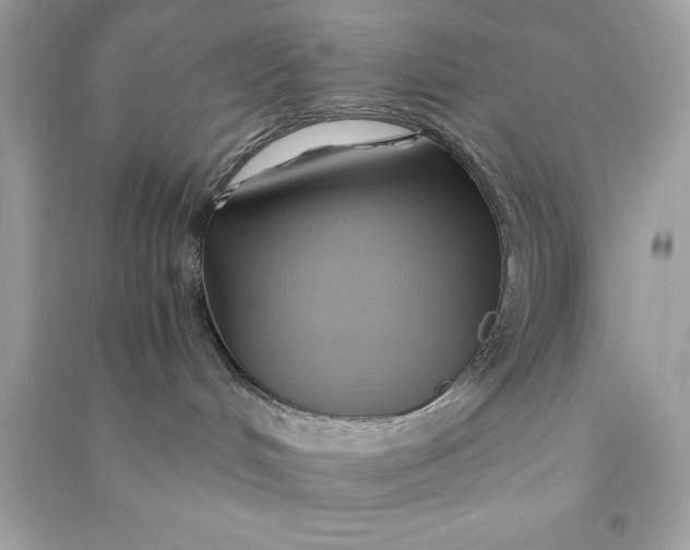 X0000090780048200708101843