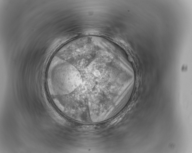 X0000090780049200708101842