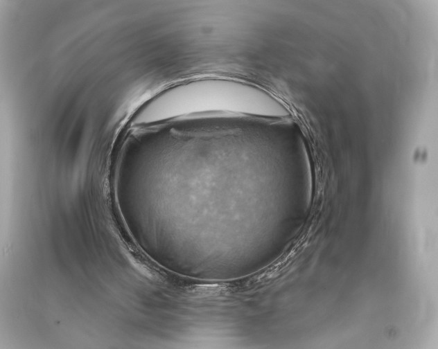 X0000090780050200708101842