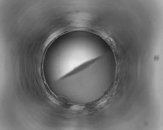 X0000090780051200708101842