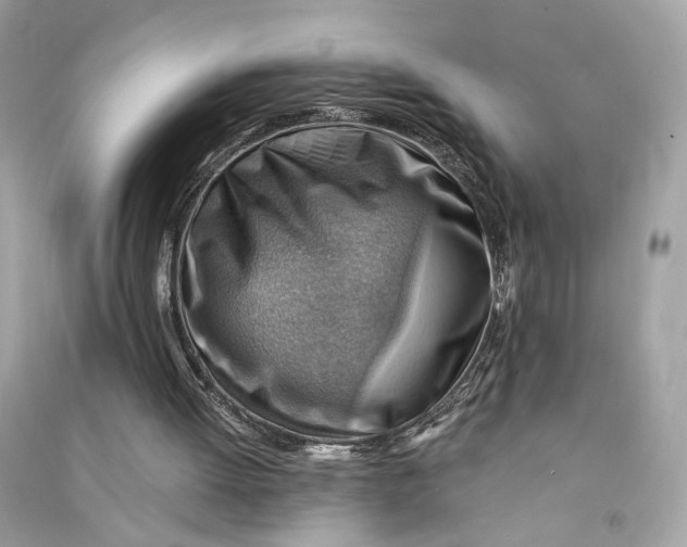 X0000090780052200708101842