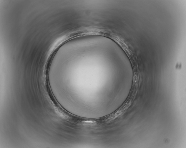 X0000090780053200708101842