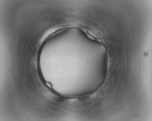 X0000090780054200708101842