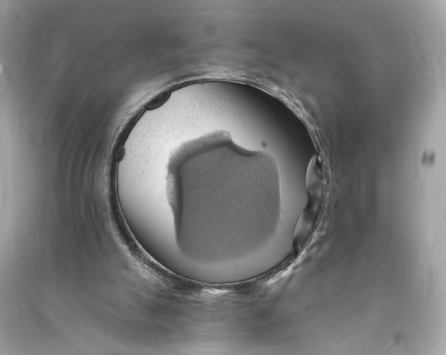 X0000090780055200708101842
