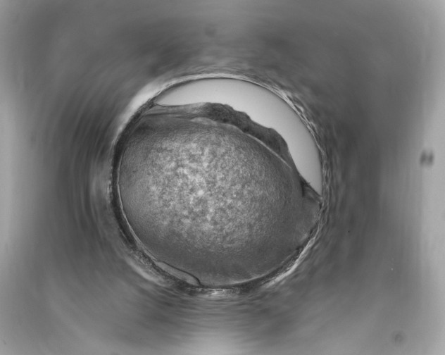 X0000090780056200708101842