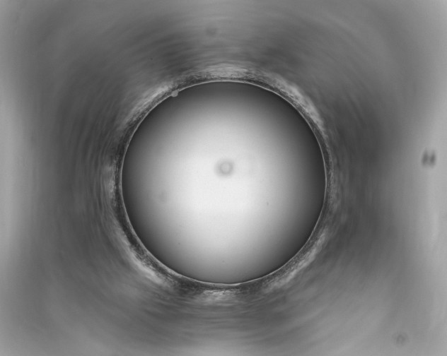X0000090780057200708101842