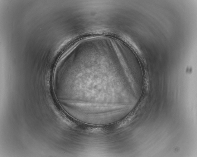 X0000090780058200708101842