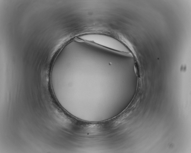 X0000090780059200708101842
