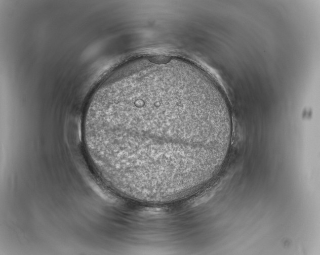 X0000090780061200708101842