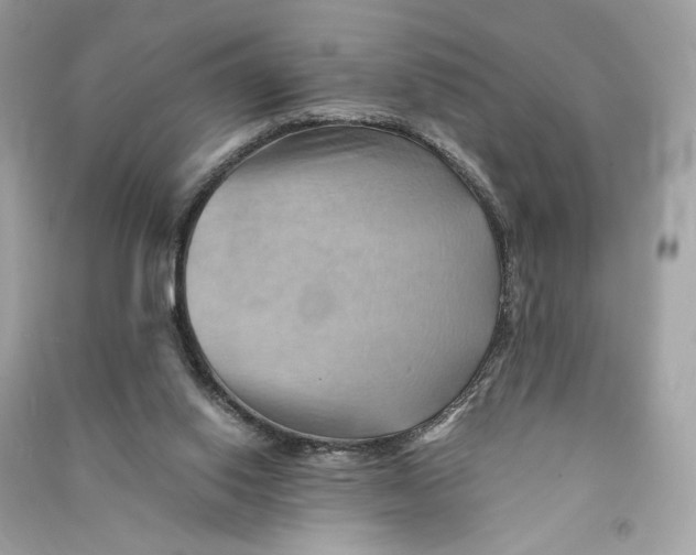 X0000090780062200708101842
