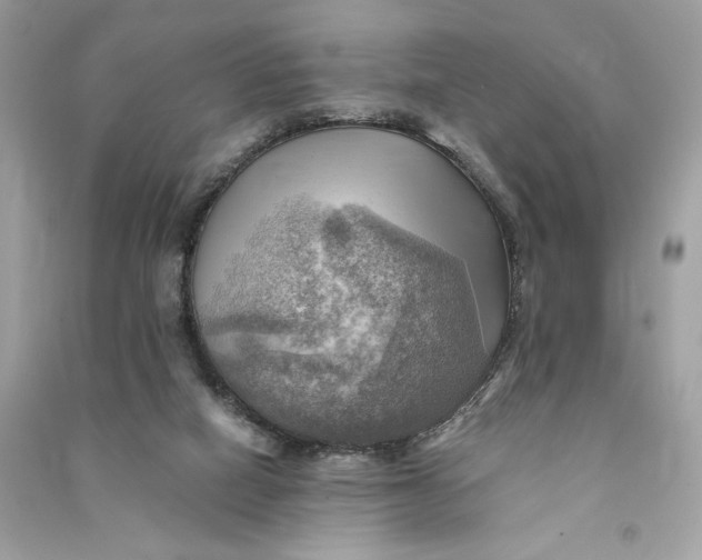 X0000090780066200708101842