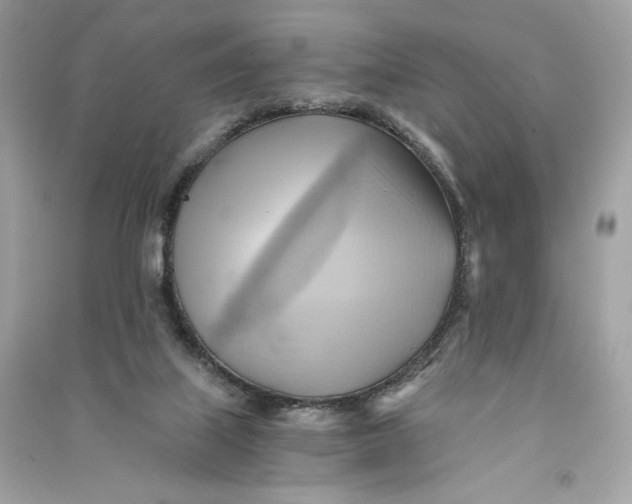 X0000090780067200708101842