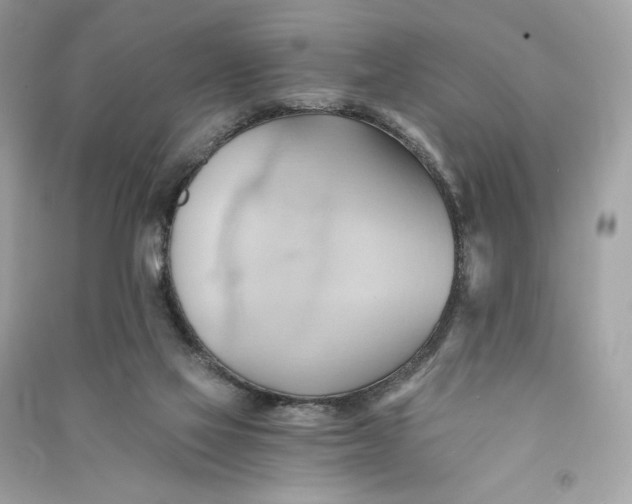 X0000090780069200708101842
