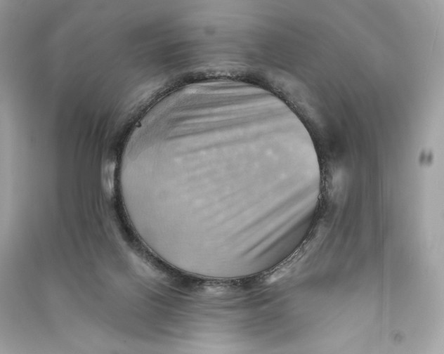 X0000090780070200708101842