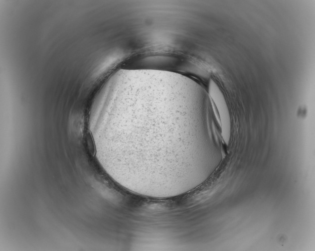 X0000090780072200708101842