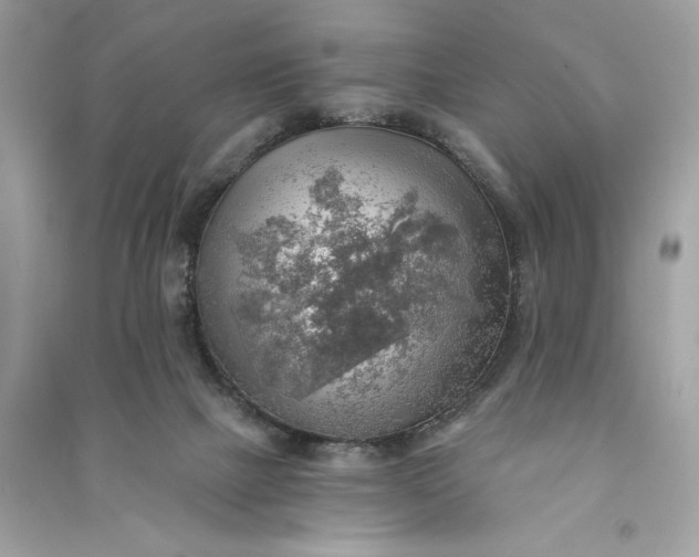 X0000090780073200708101842