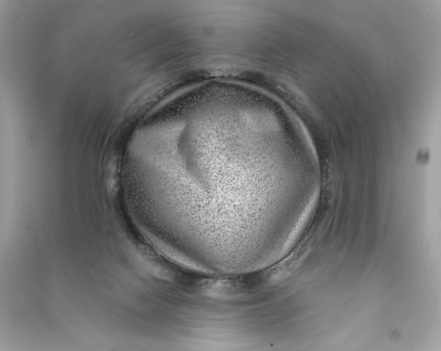 X0000090780074200708101842