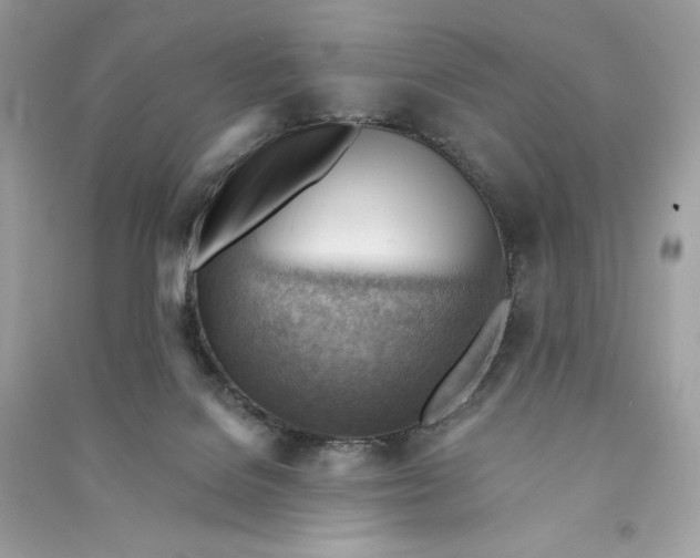 X0000090780076200708101843