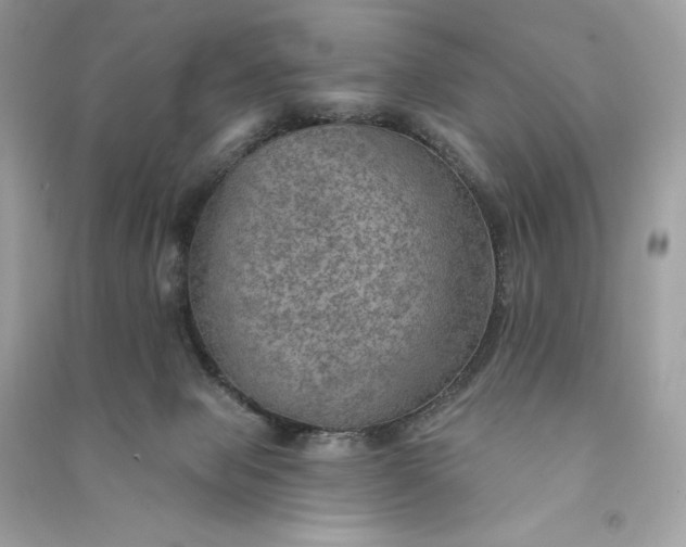 X0000090780077200708101843