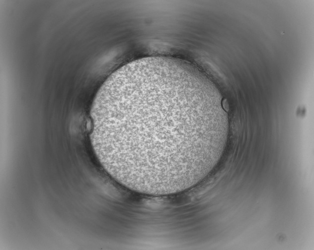 X0000090780079200708101843