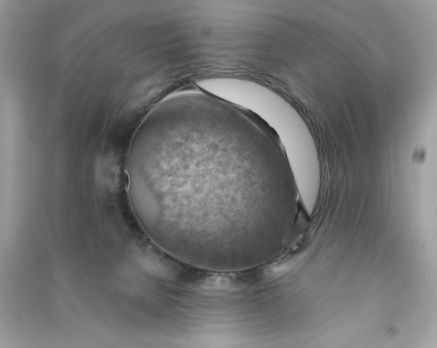 X0000090780080200708101843