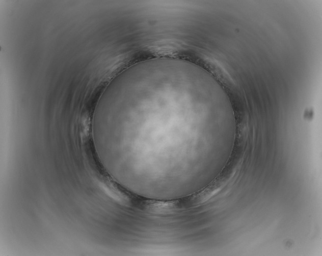 X0000090780081200708101843