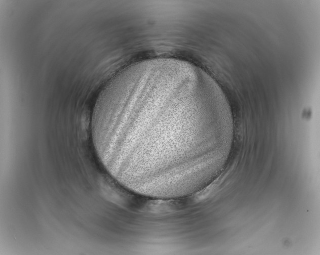 X0000090780082200708101843