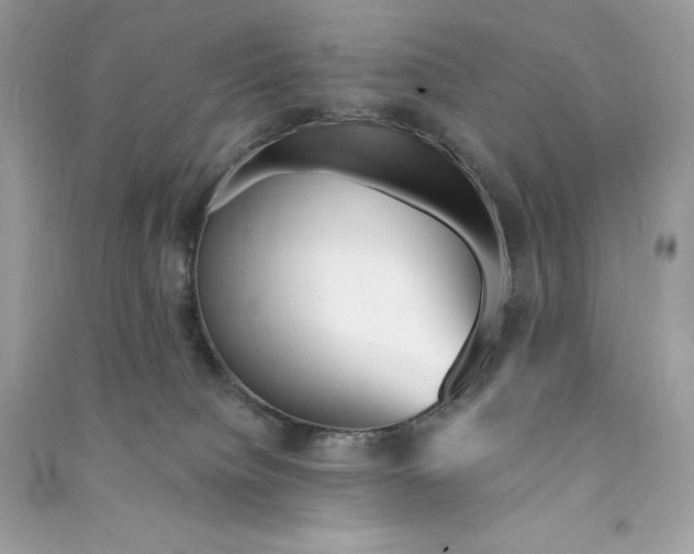 X0000090780084200708101843