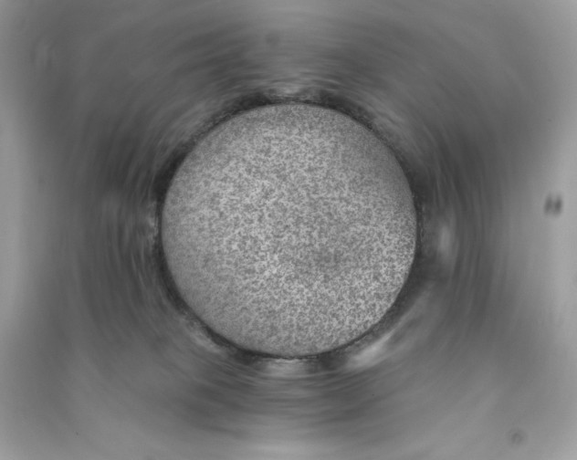 X0000090780085200708101843