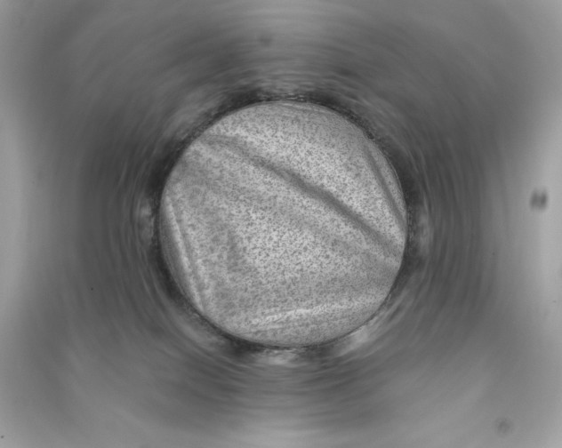 X0000090780086200708101843