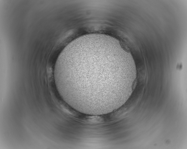 X0000090780087200708101843