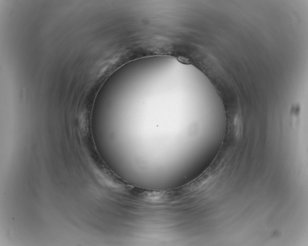 X0000090780088200708101843