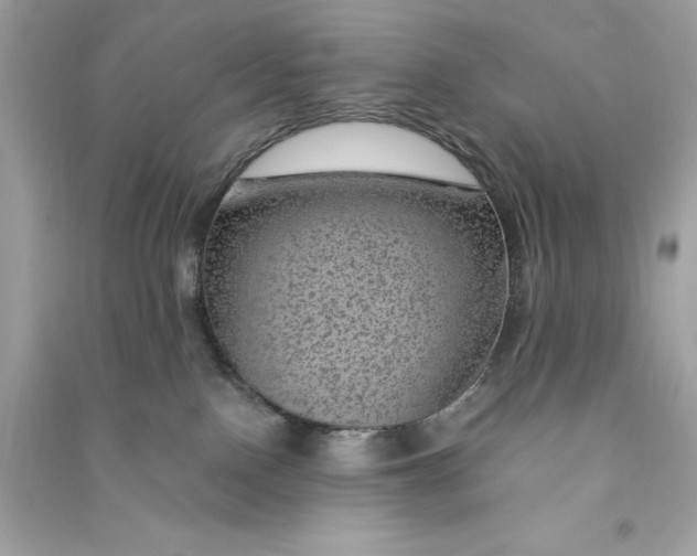 X0000090780090200708101843