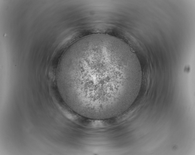 X0000090780091200708101843