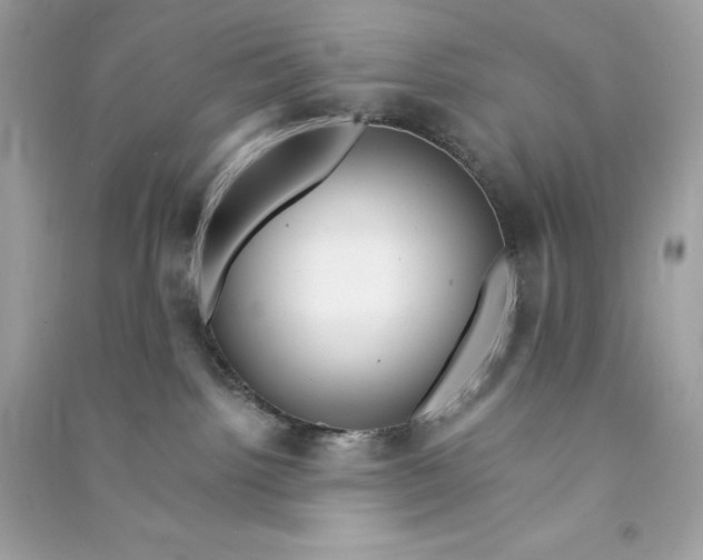 X0000090780092200708101843