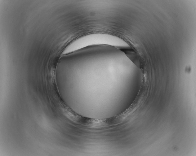 X0000090780093200708101843