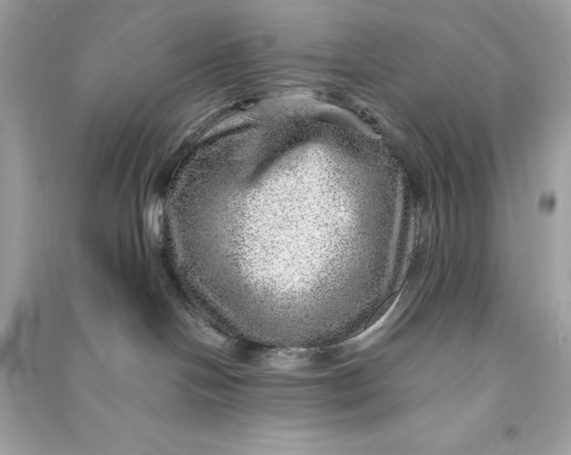 X0000090780094200708101843