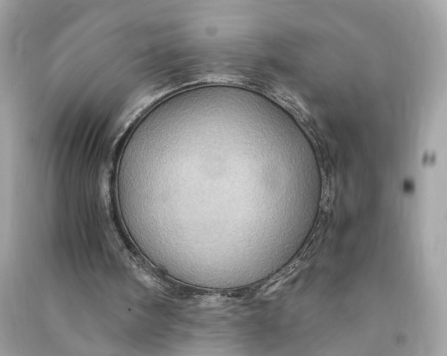 X0000090780098200708101842