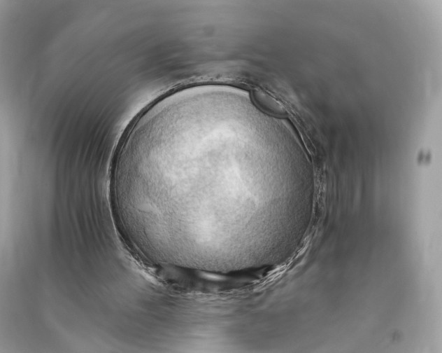 X0000090780100200708101842