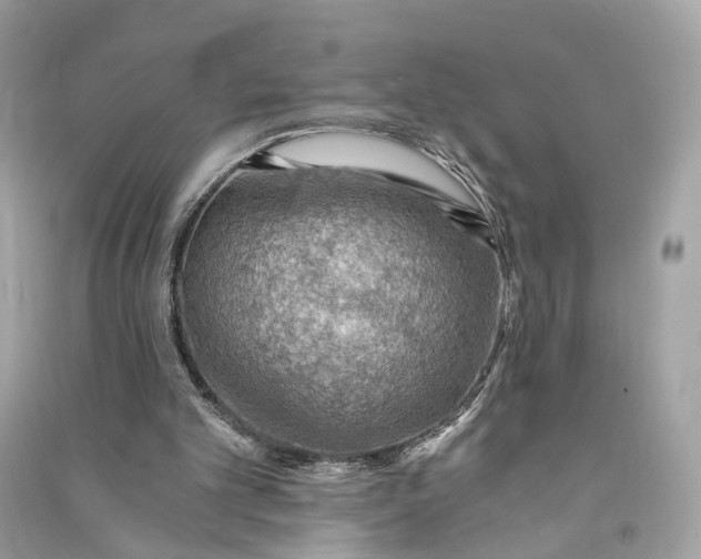 X0000090780101200708101842