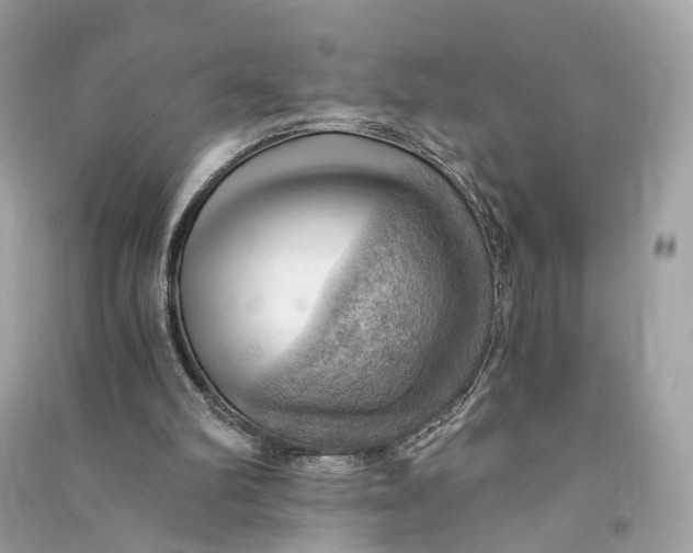X0000090780102200708101842
