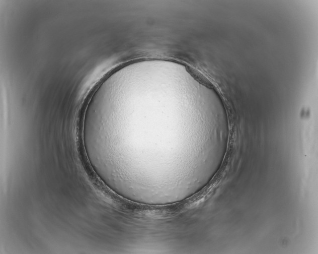 X0000090780103200708101842