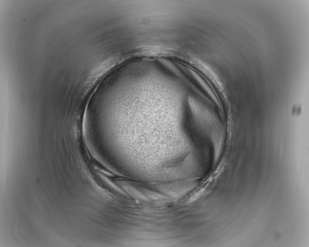 X0000090780105200708101842