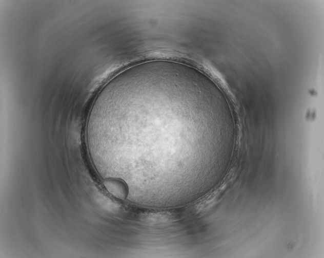 X0000090780106200708101842